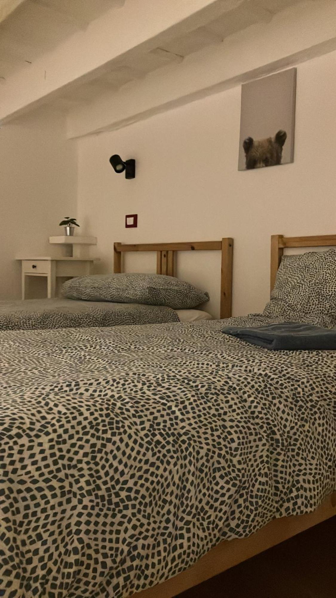 Guest House Sansiro Fiera 米兰 外观 照片